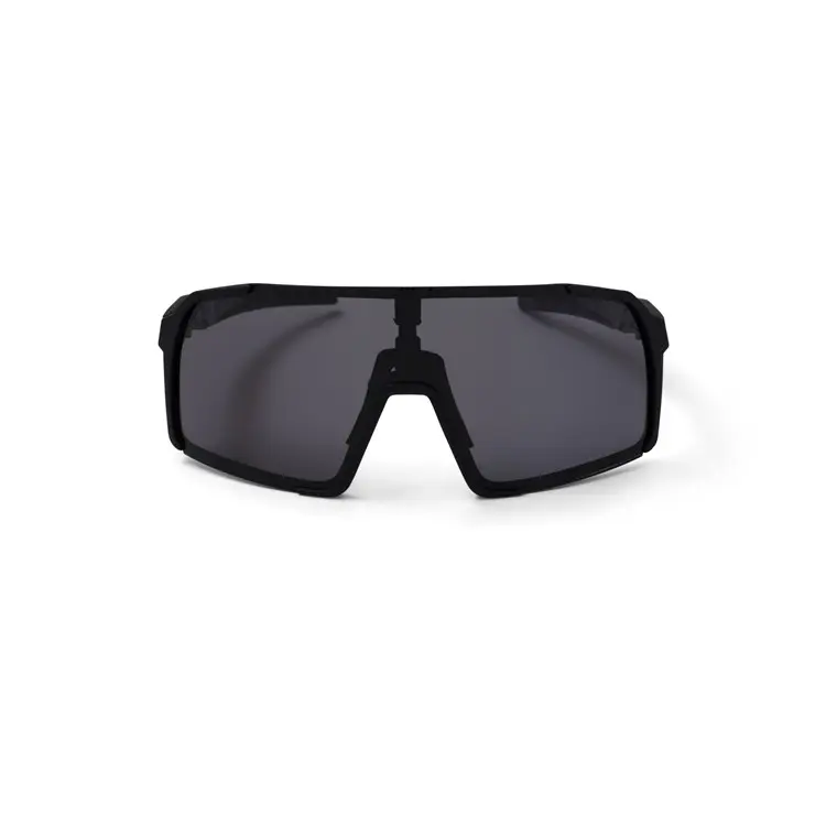 Alpe Eyewear Stelvio Polarized