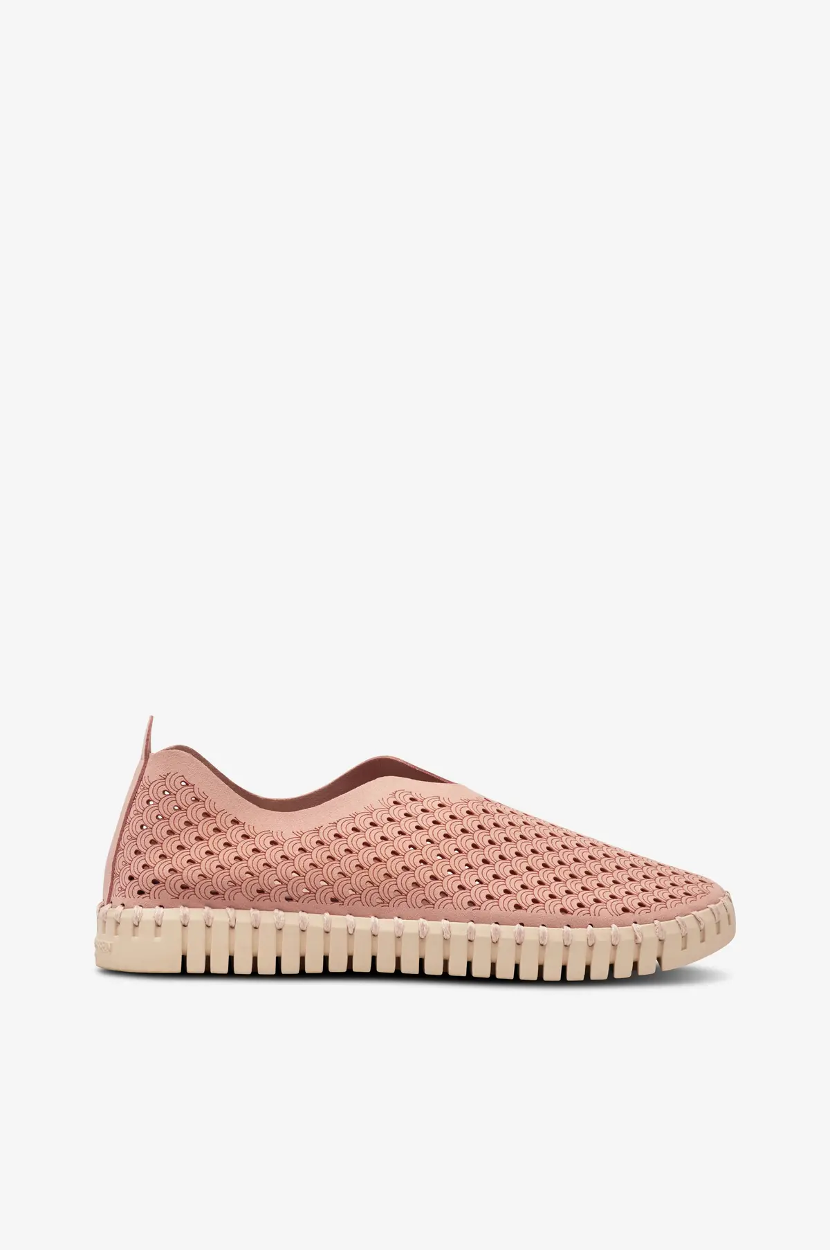 Skor Tulip 3275 Adobe rose
