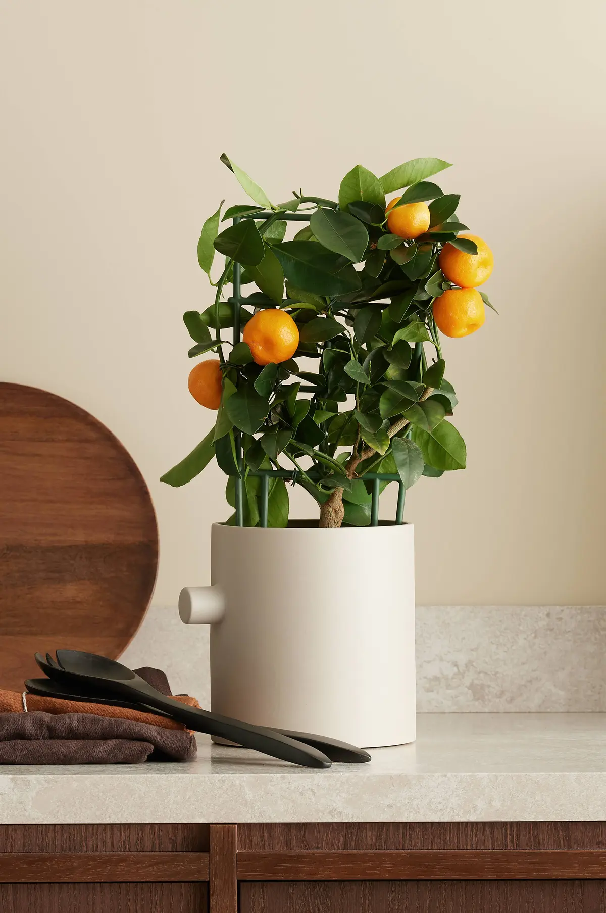 Krukke KNOB Pot large Mole