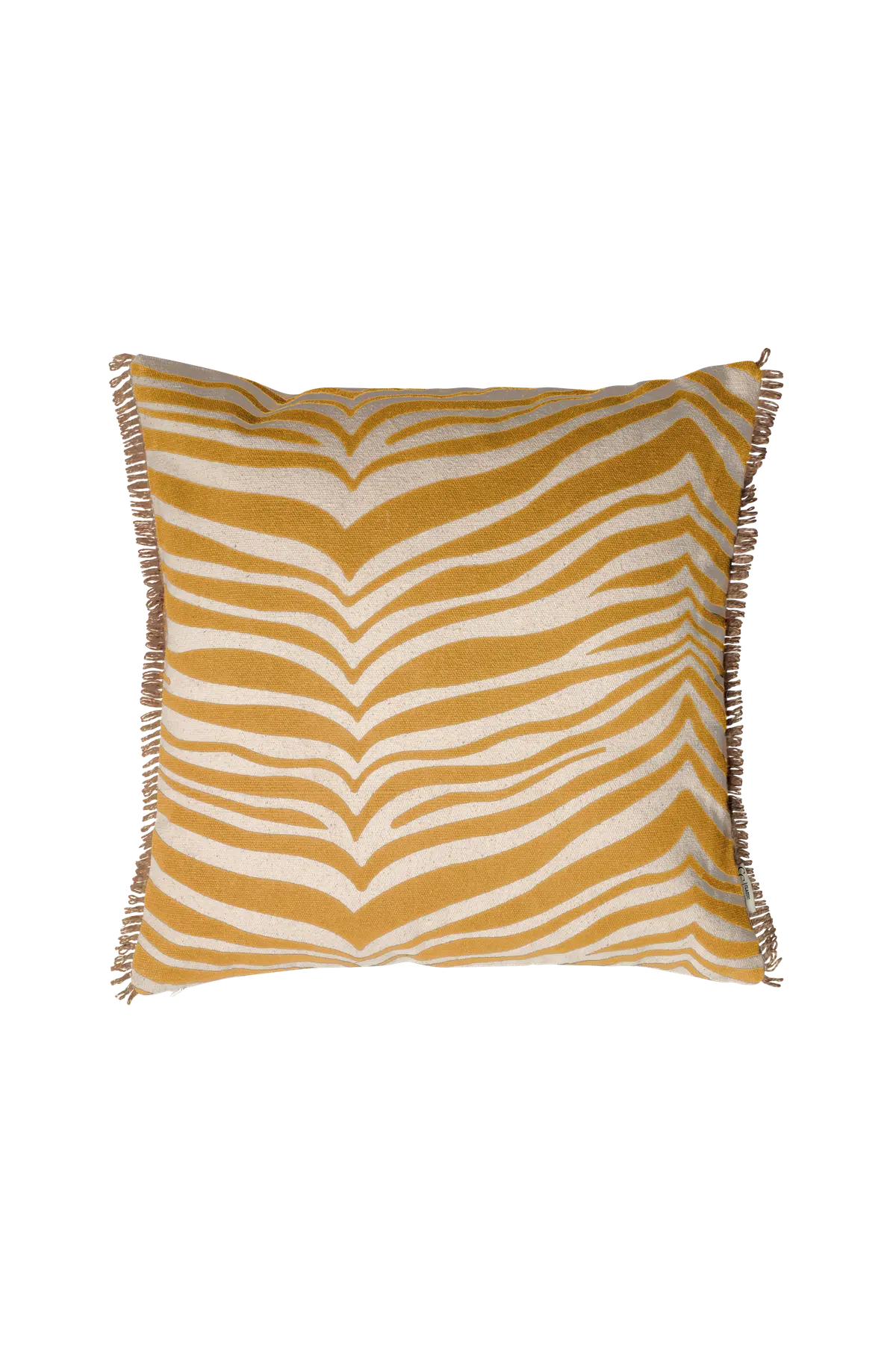 Pute Zebra No color