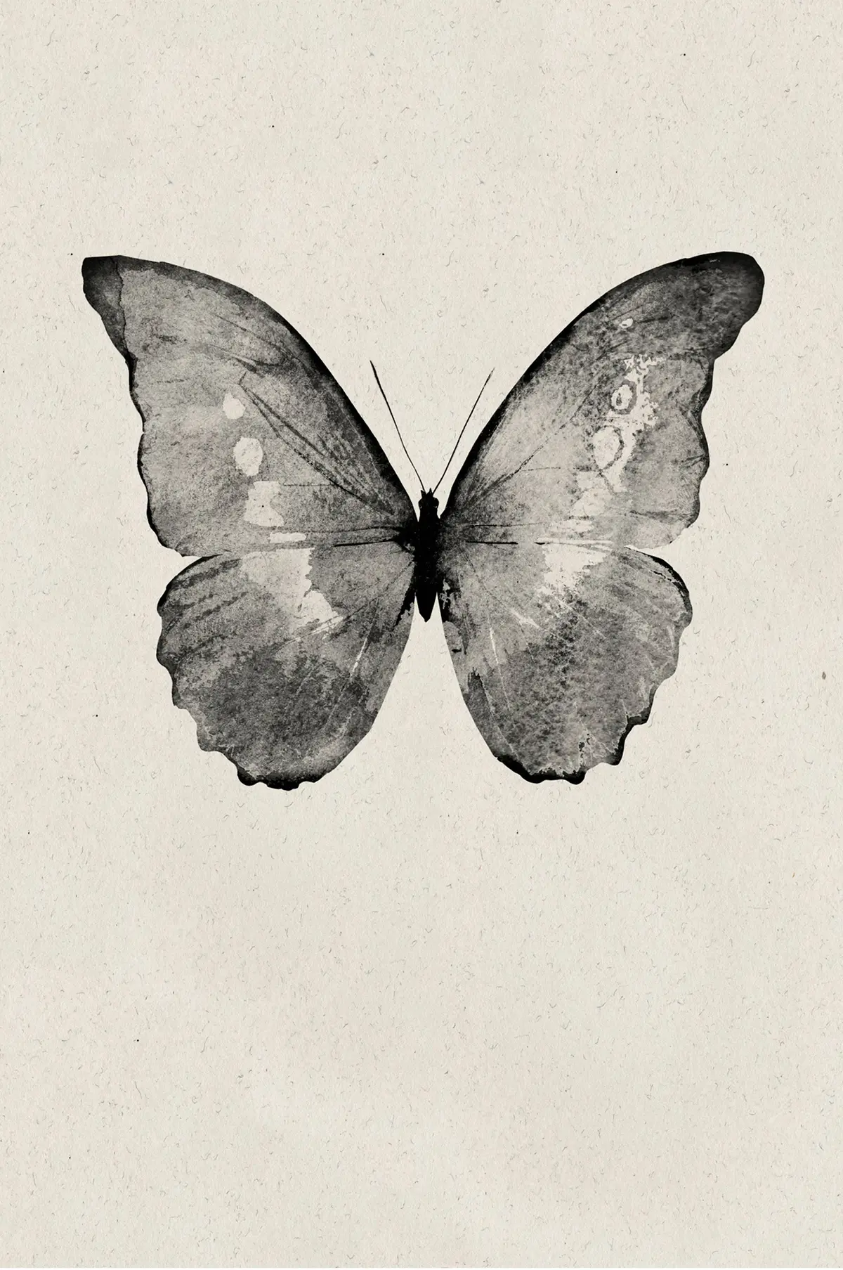 Poster / Black Butterfly Beige