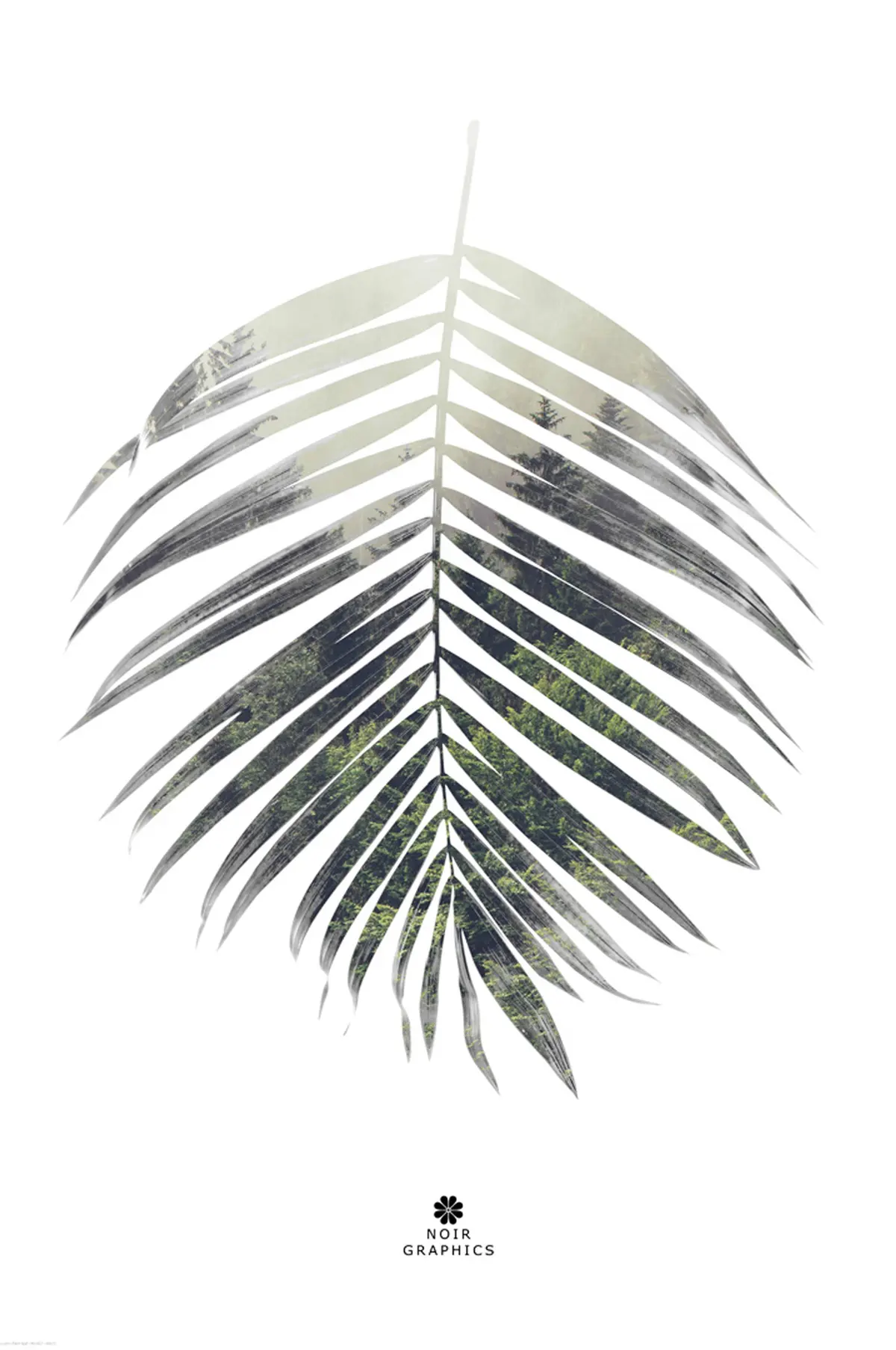 Poster Palm leaf Grønn