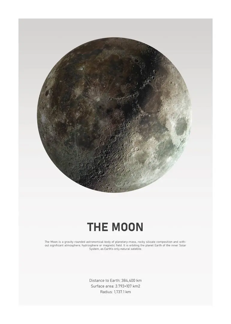 Poster The Moon Light