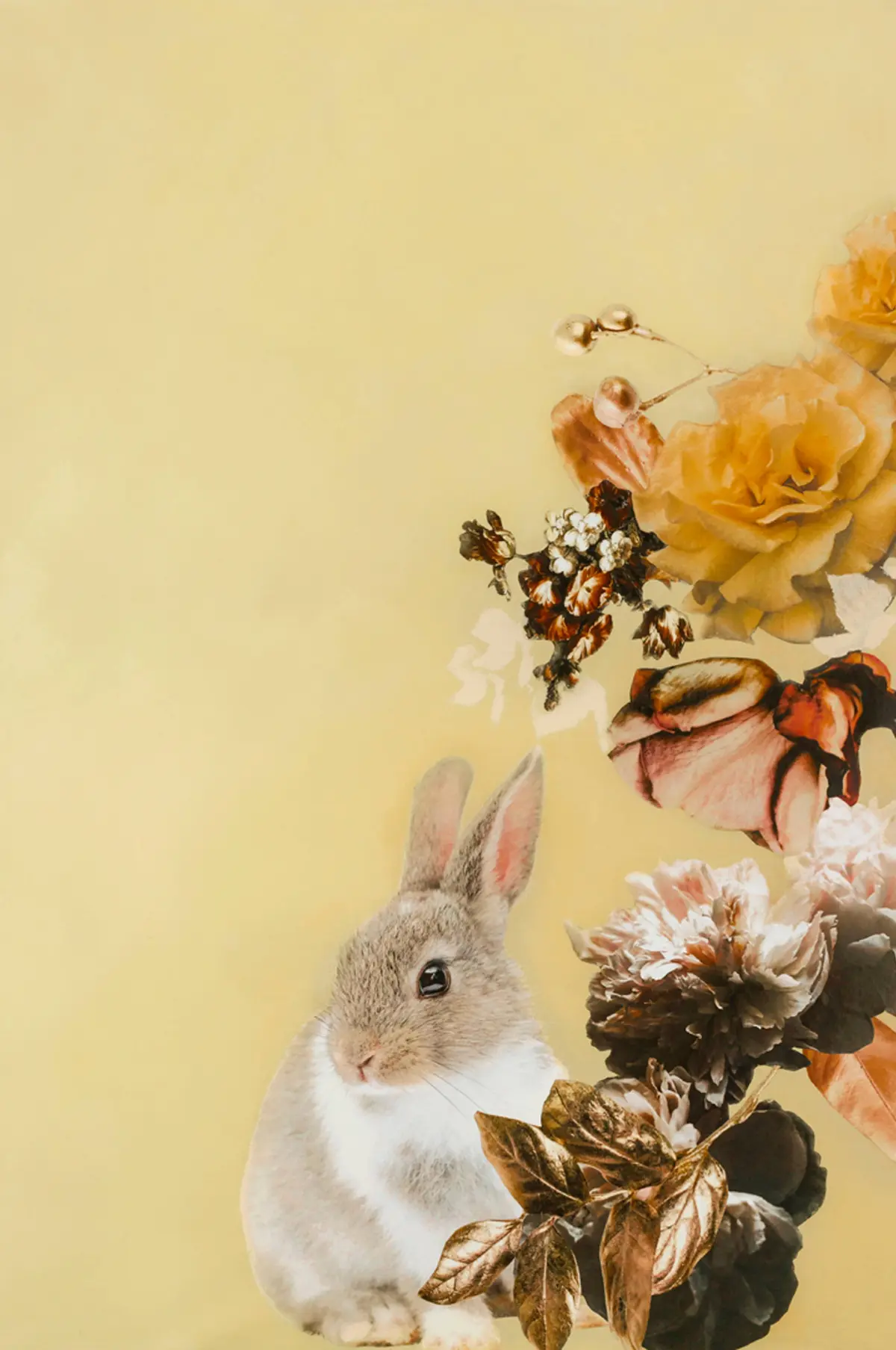 Poster Pet Couture 4