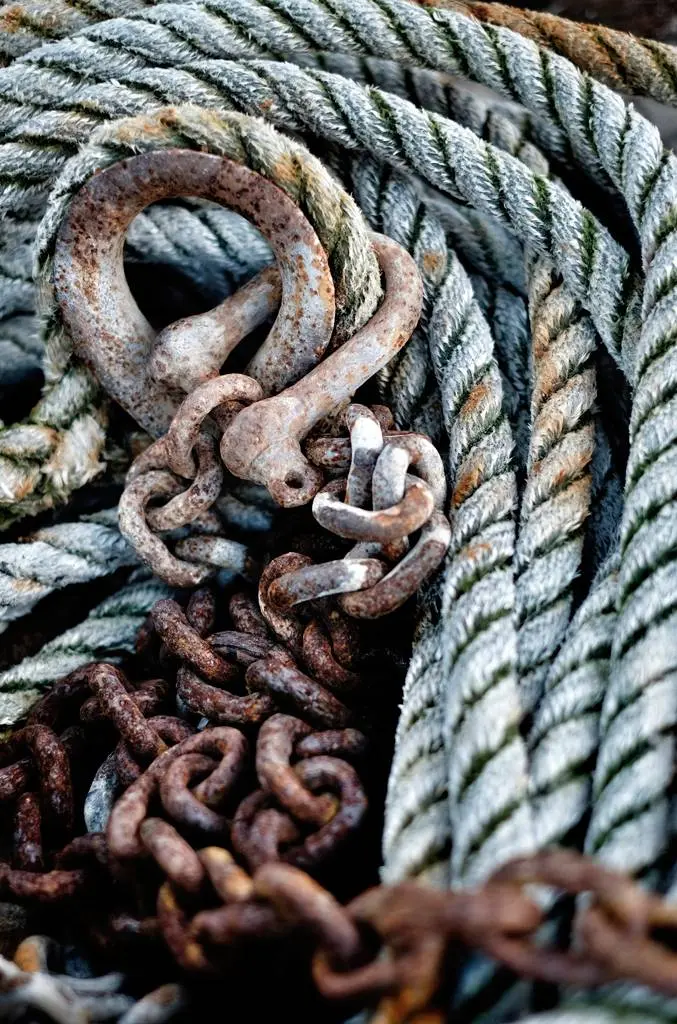 Poster Blue rope Blå