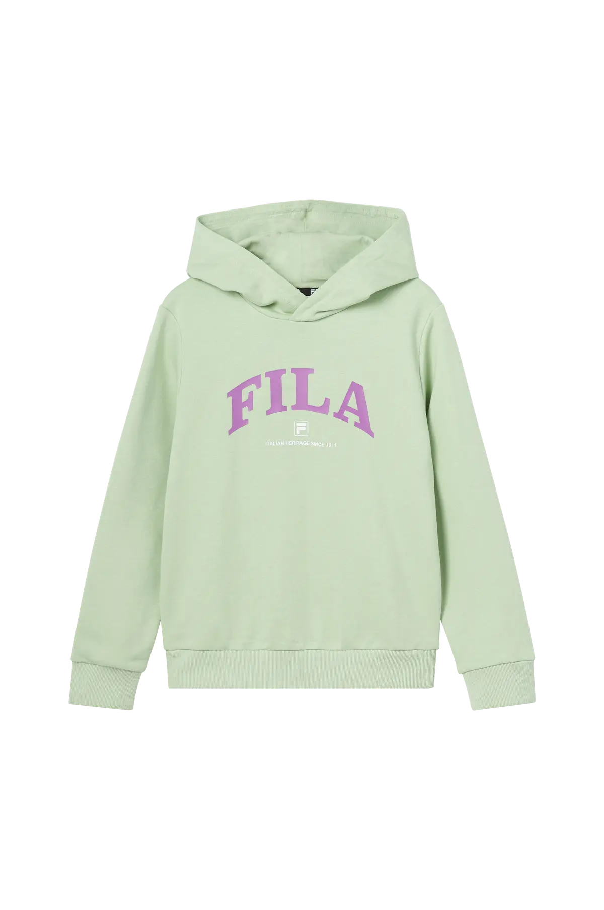 Hettegenser Langgoens Graphic Cropped Hoody Smoke green