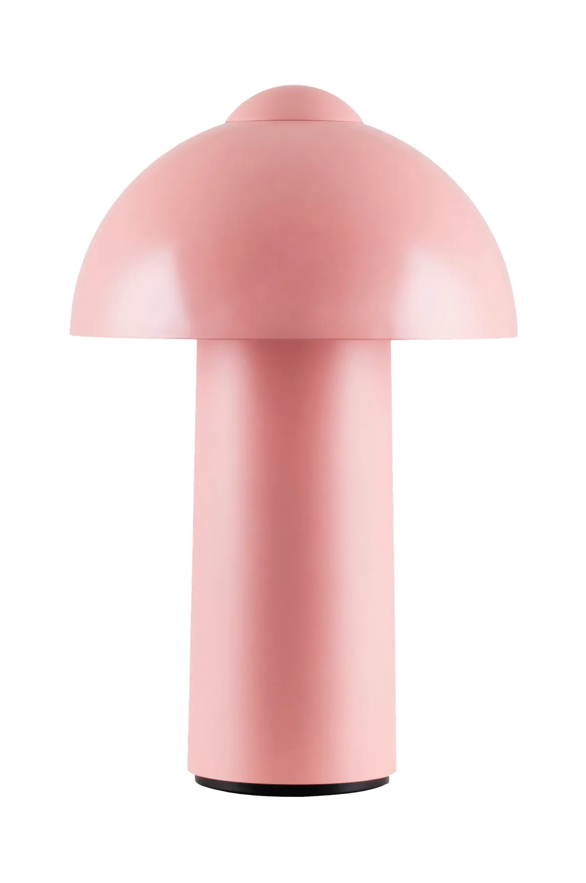 Bærbar bordlampe Buddy IP44 Rødme