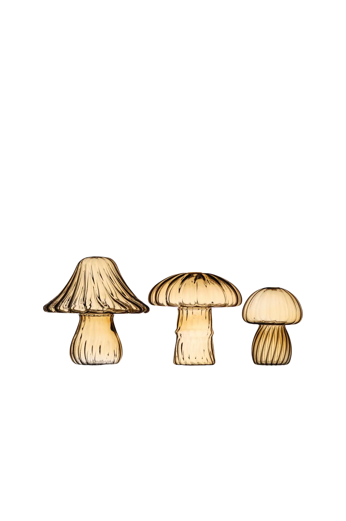 Svamp 3/S Honung Honung