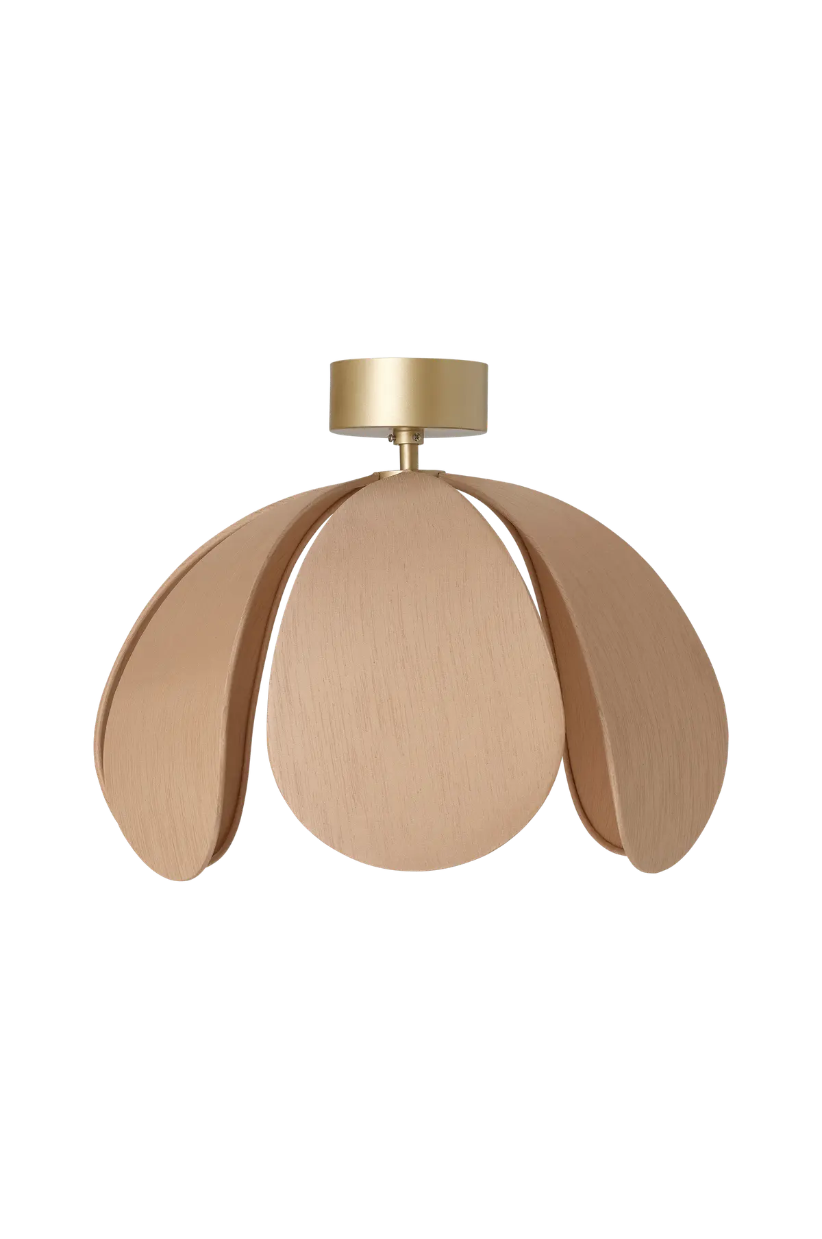 Taklampe Daisylee
