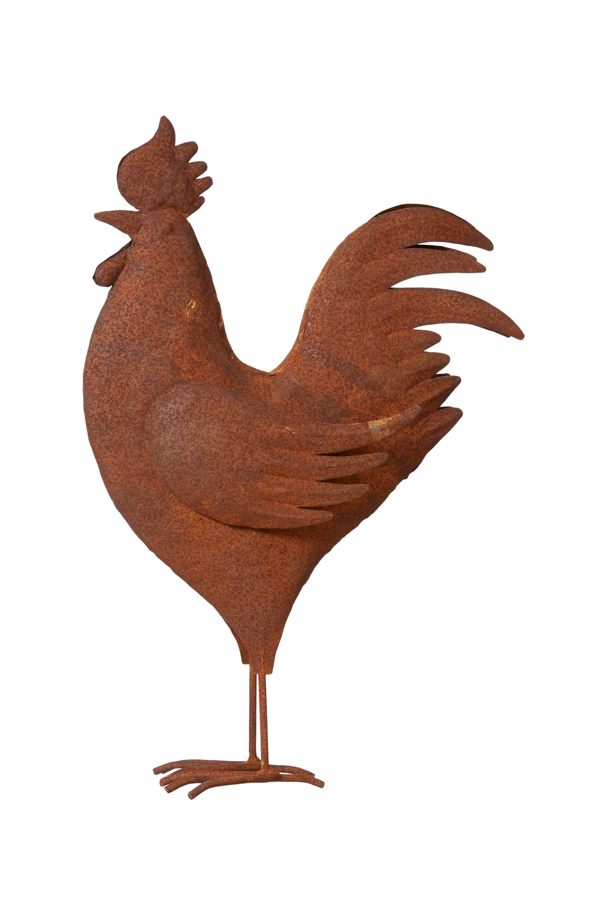 Rooster L