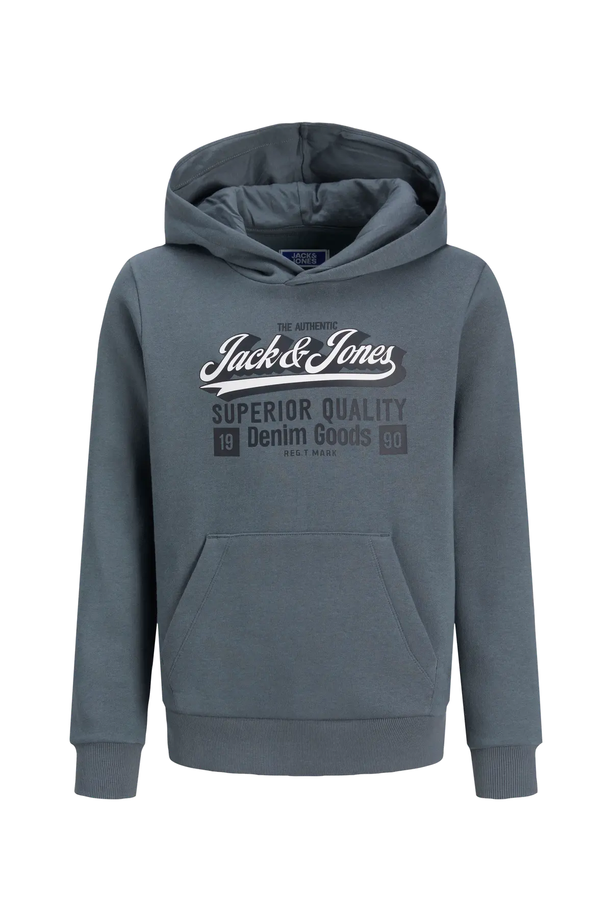 Hettegenser jjeLogo Sweat Hood 2 Col 25/26 Stormy weather