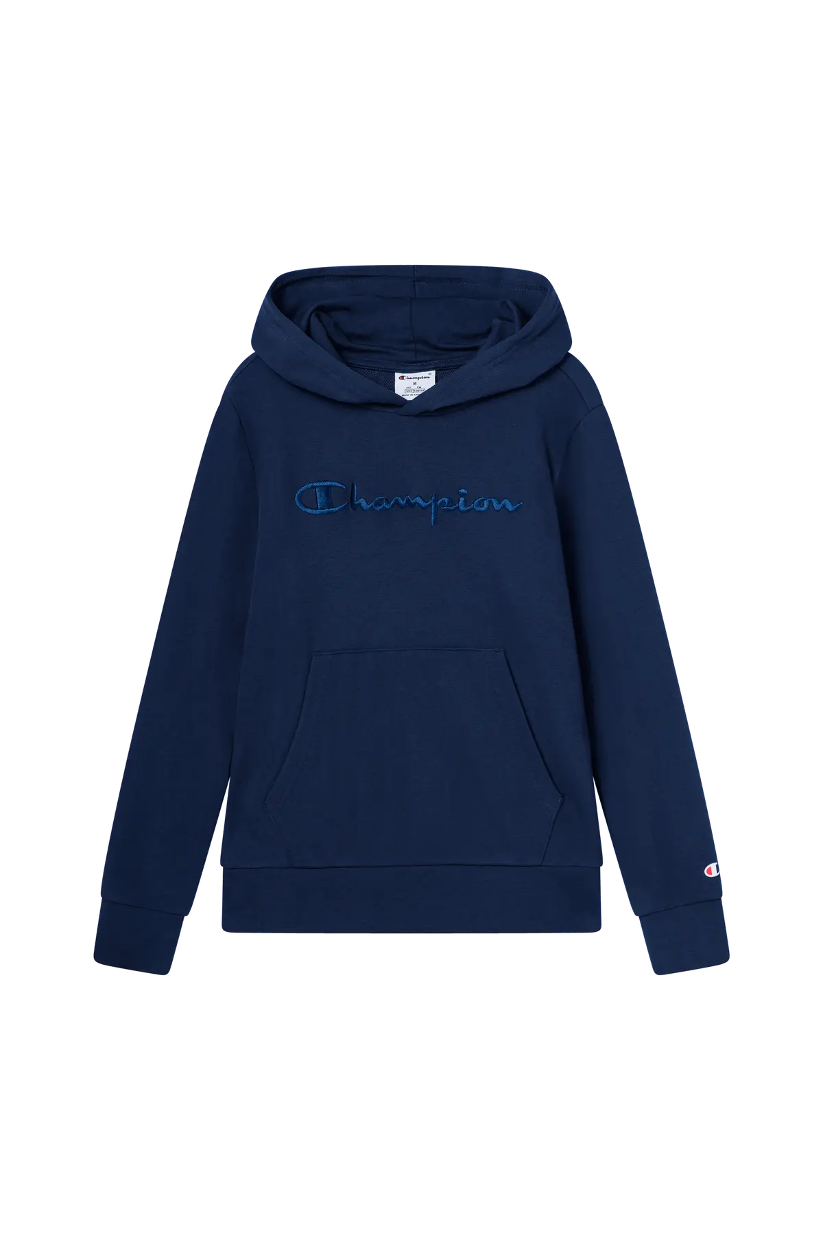 Hettegenser Icons Tonal Hoodie With Large Logo Nava