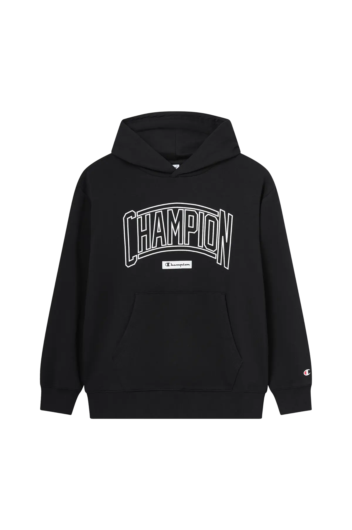 Hettegenser College Terry Hoodie Large Logo Nbk