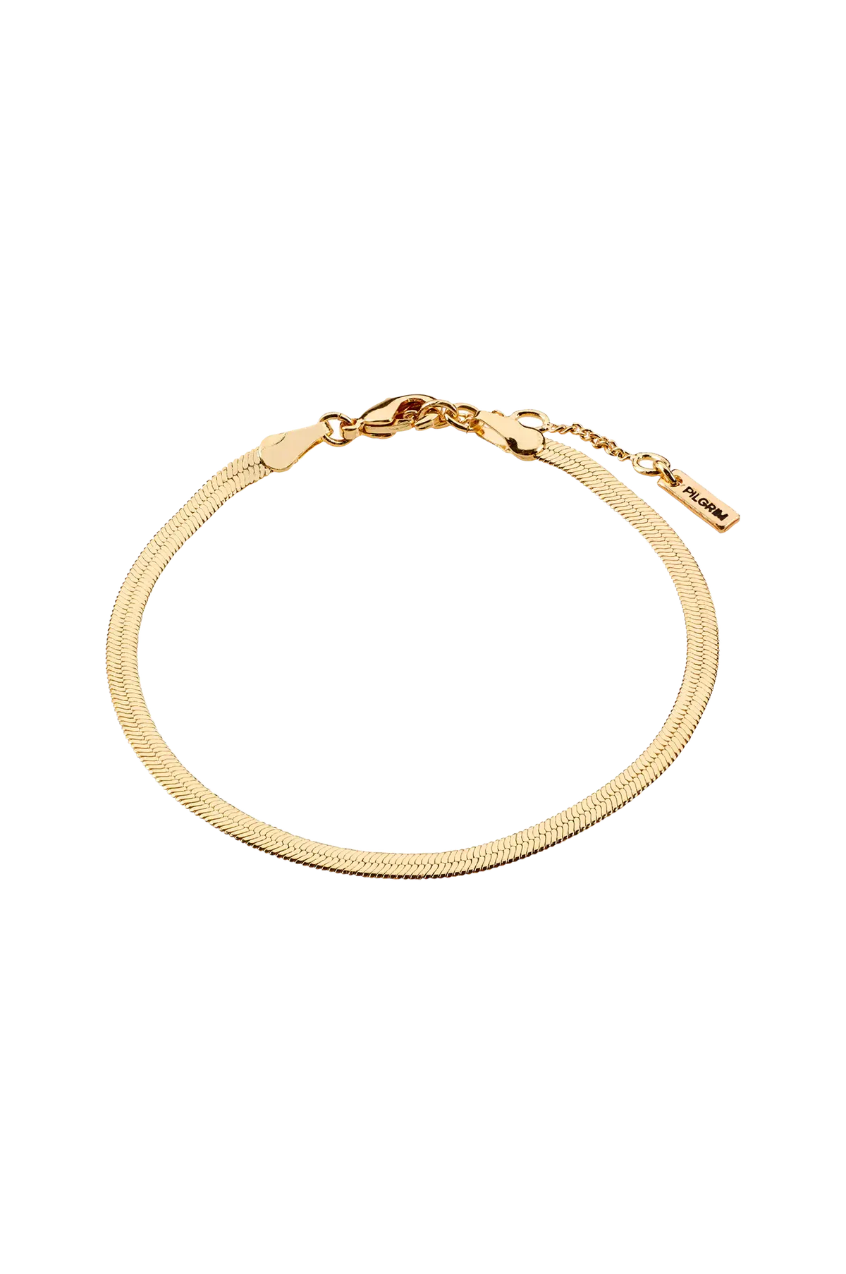 Armbånd Joanna Flat Snake Chain Bracelet Gold-plated Gold plated