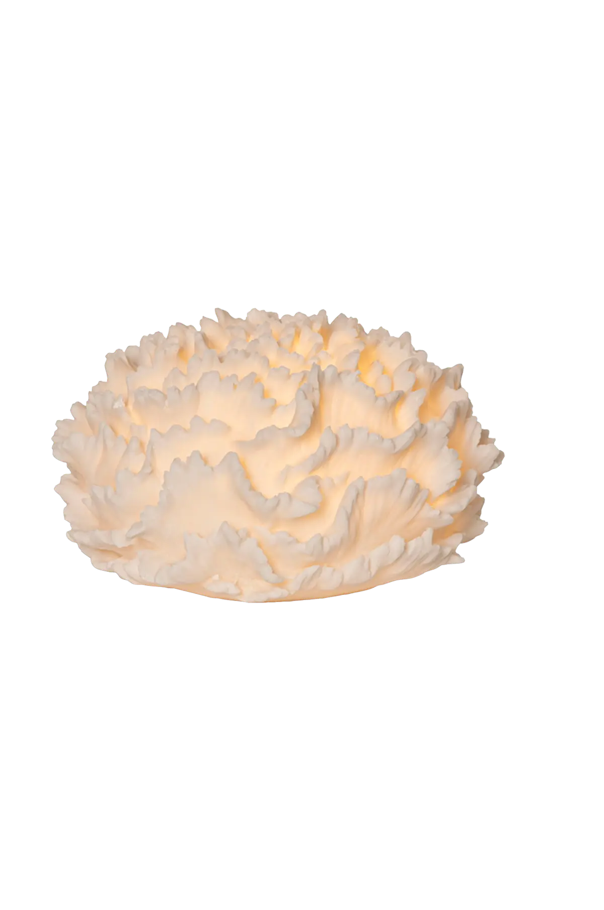 Utendørs dekorasjon Coral