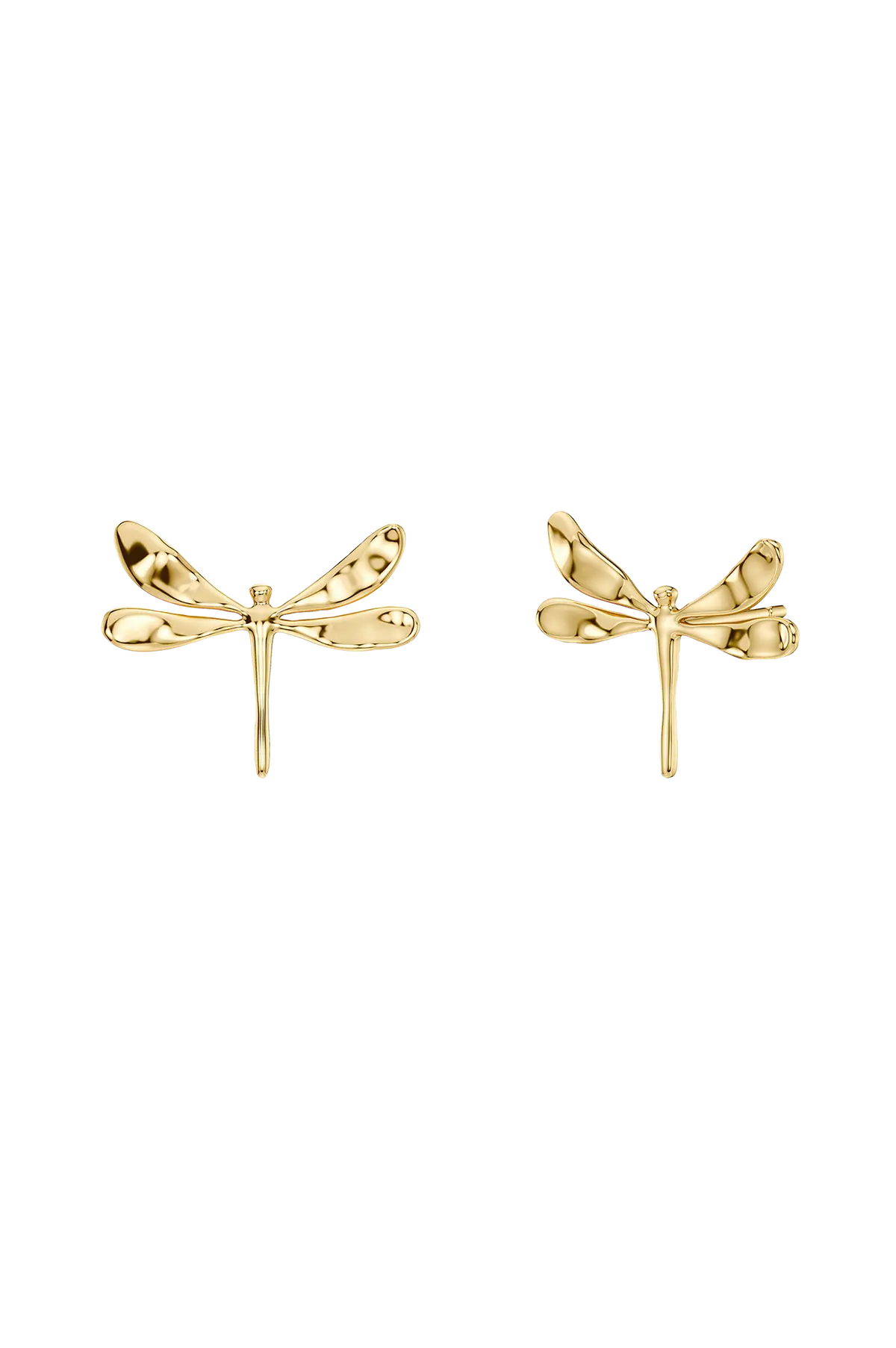 Øreringer Dragonfly Studs Gold Gold