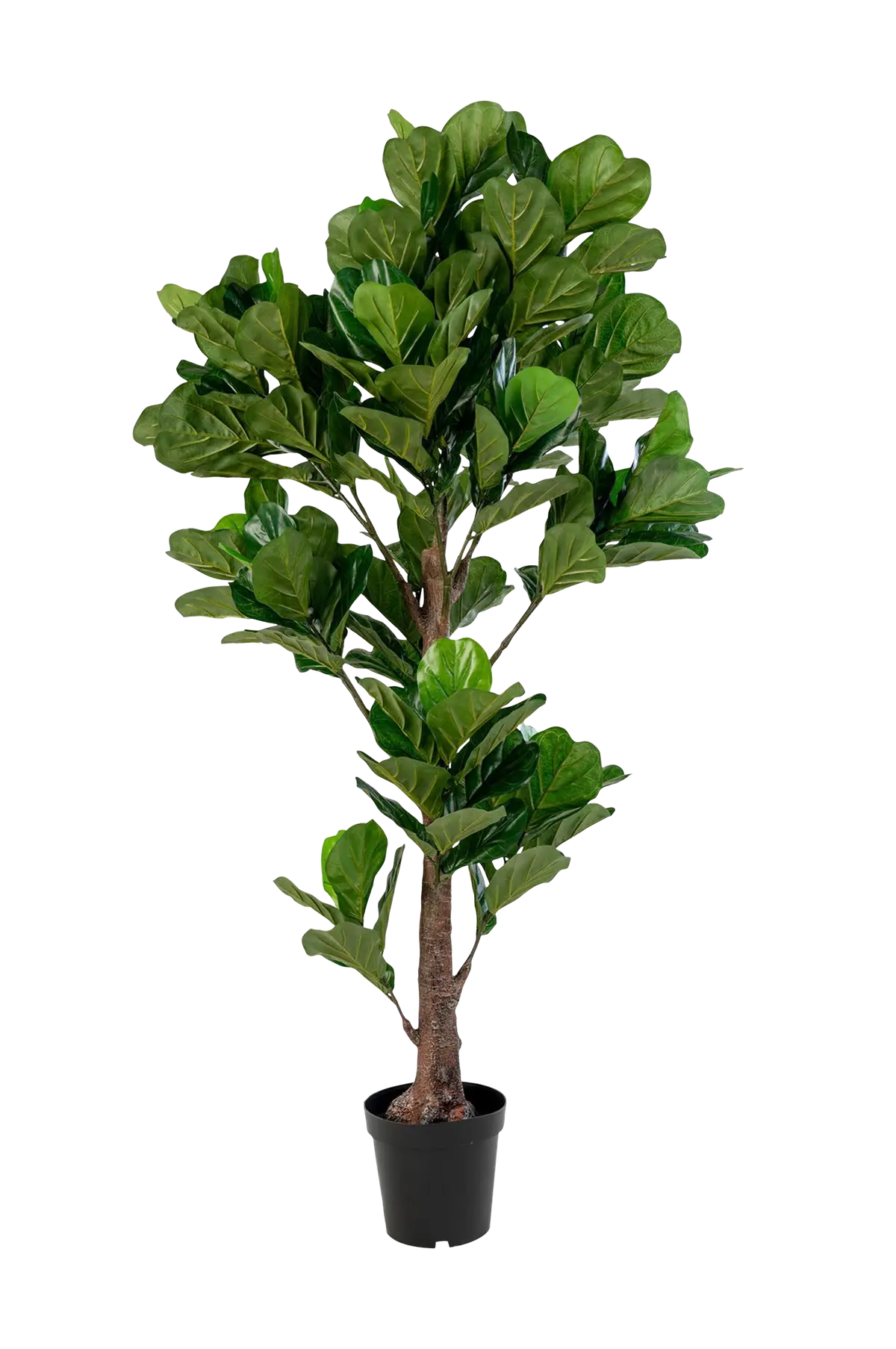 Potteplante Fiddle, kunstig, H190 cm
