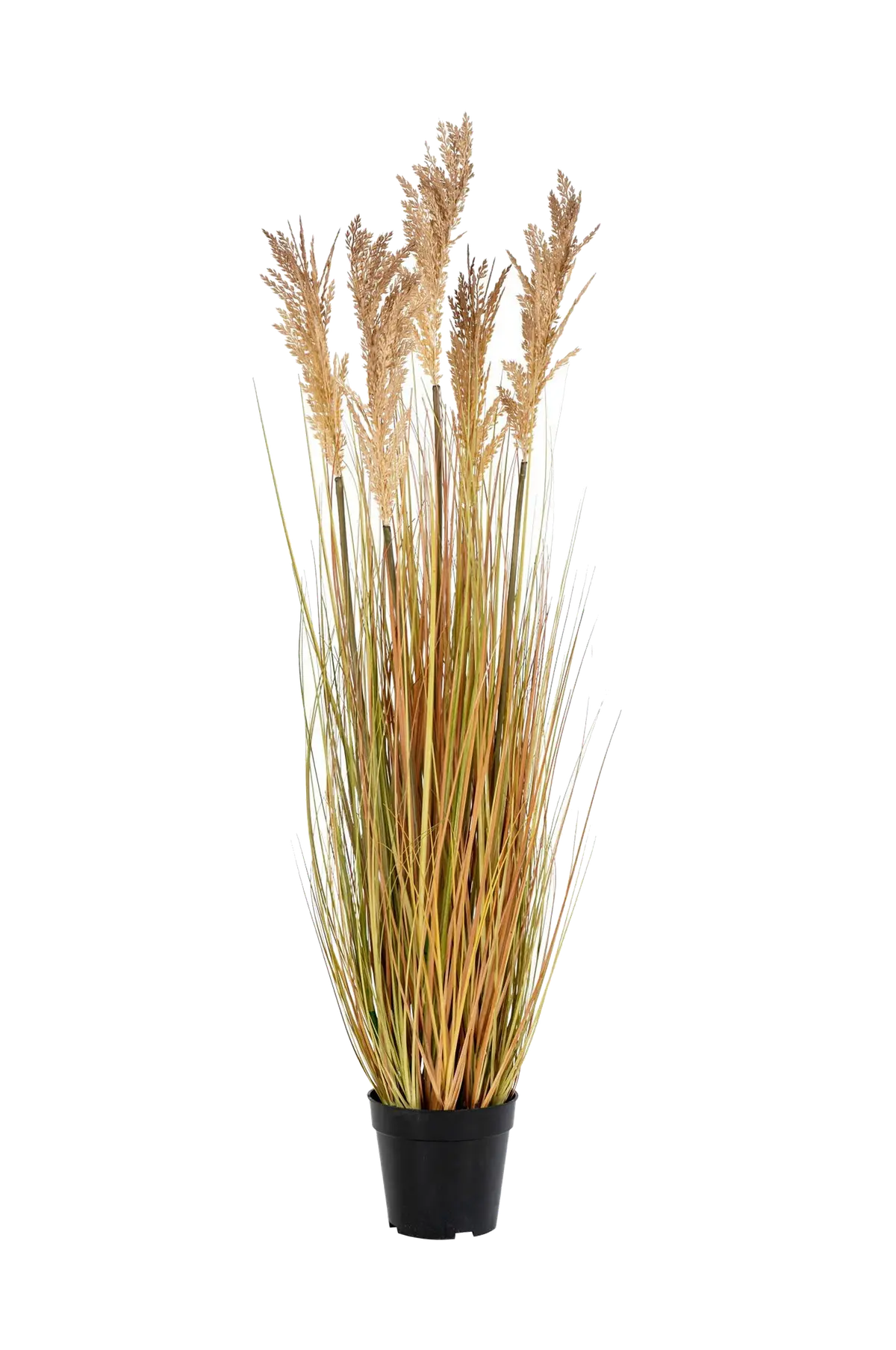Kunstig plante Durra. Plante av PE-plast.