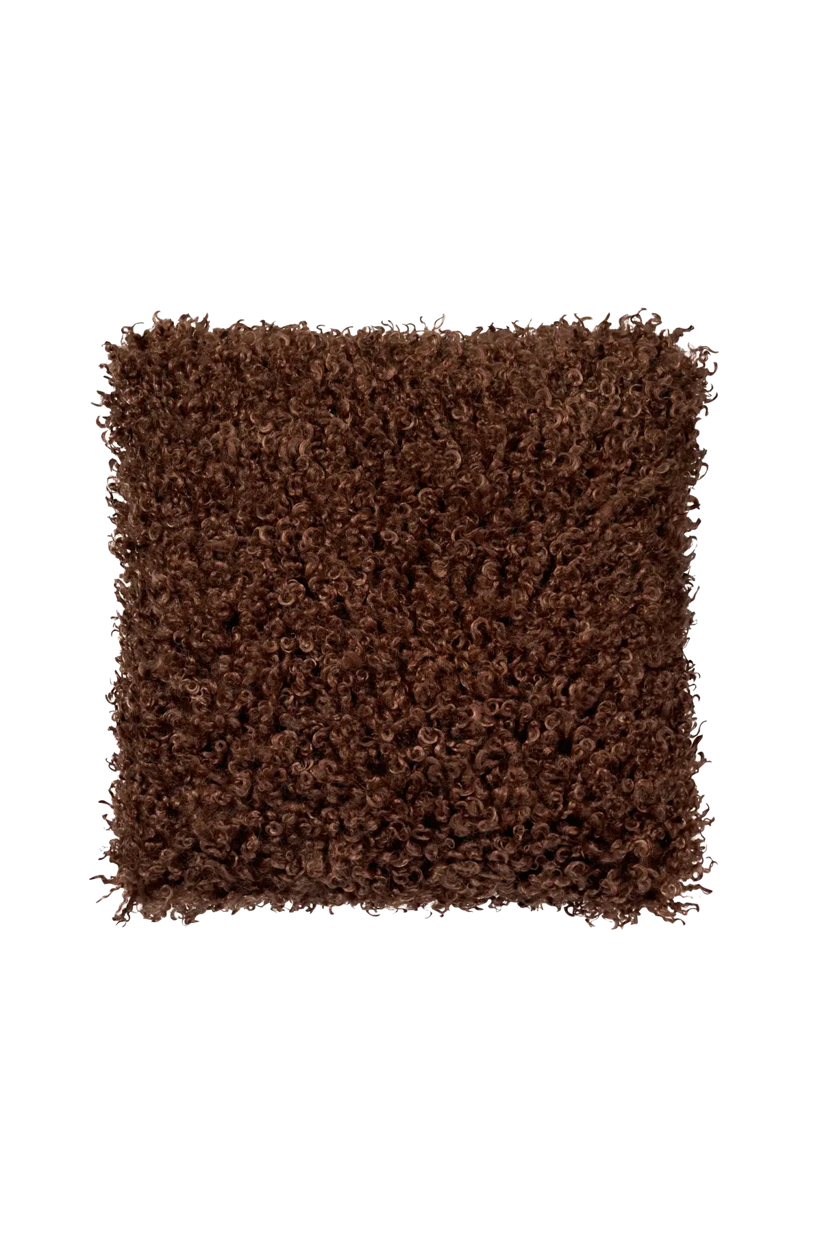 Pute Wooly