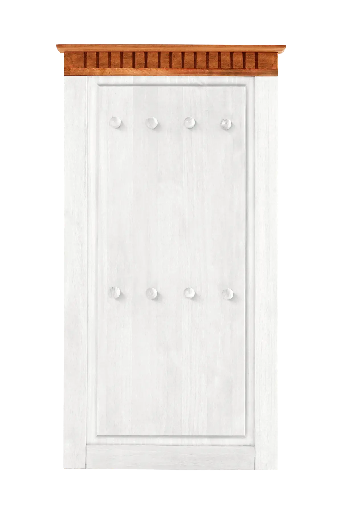 Lisa Panel