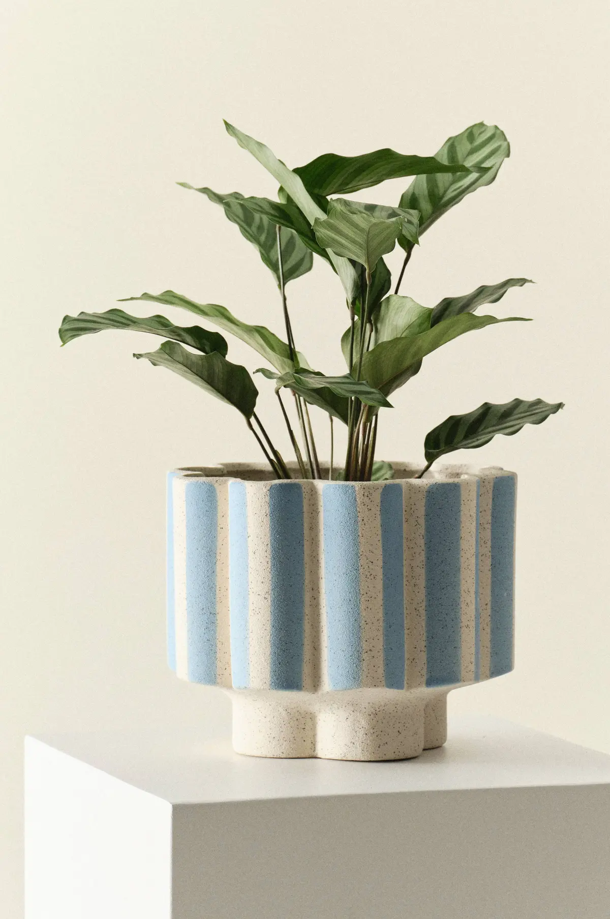 SIGFRID STRIPE potte