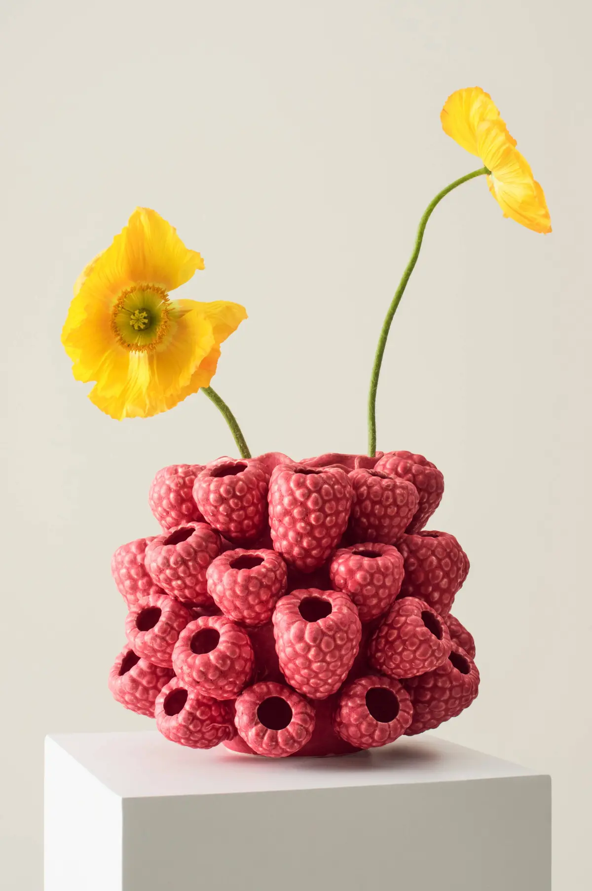 RASPBERRY vase/gryte