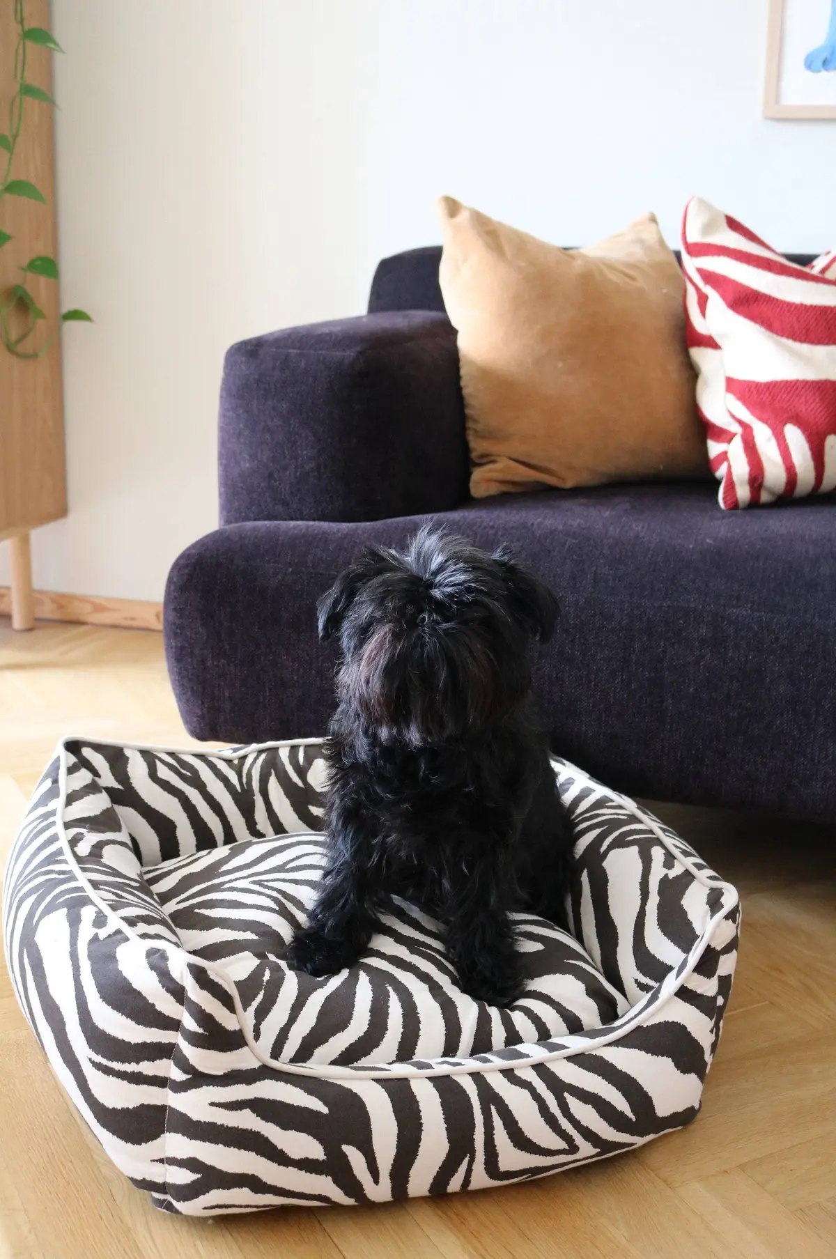 ZEA hunde-/katteseng