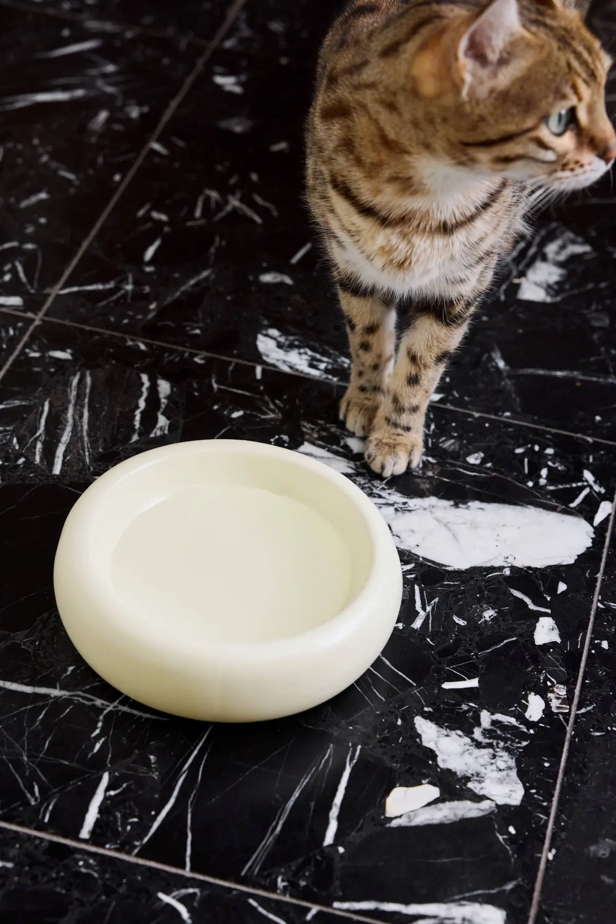 BUBBLE matskål for hund/katt