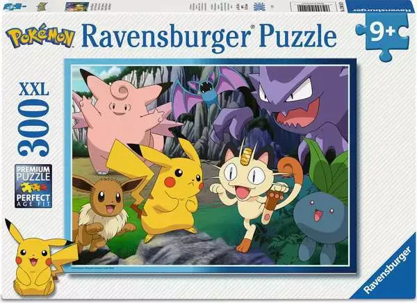 Pokemon XXL Puzzle (300)