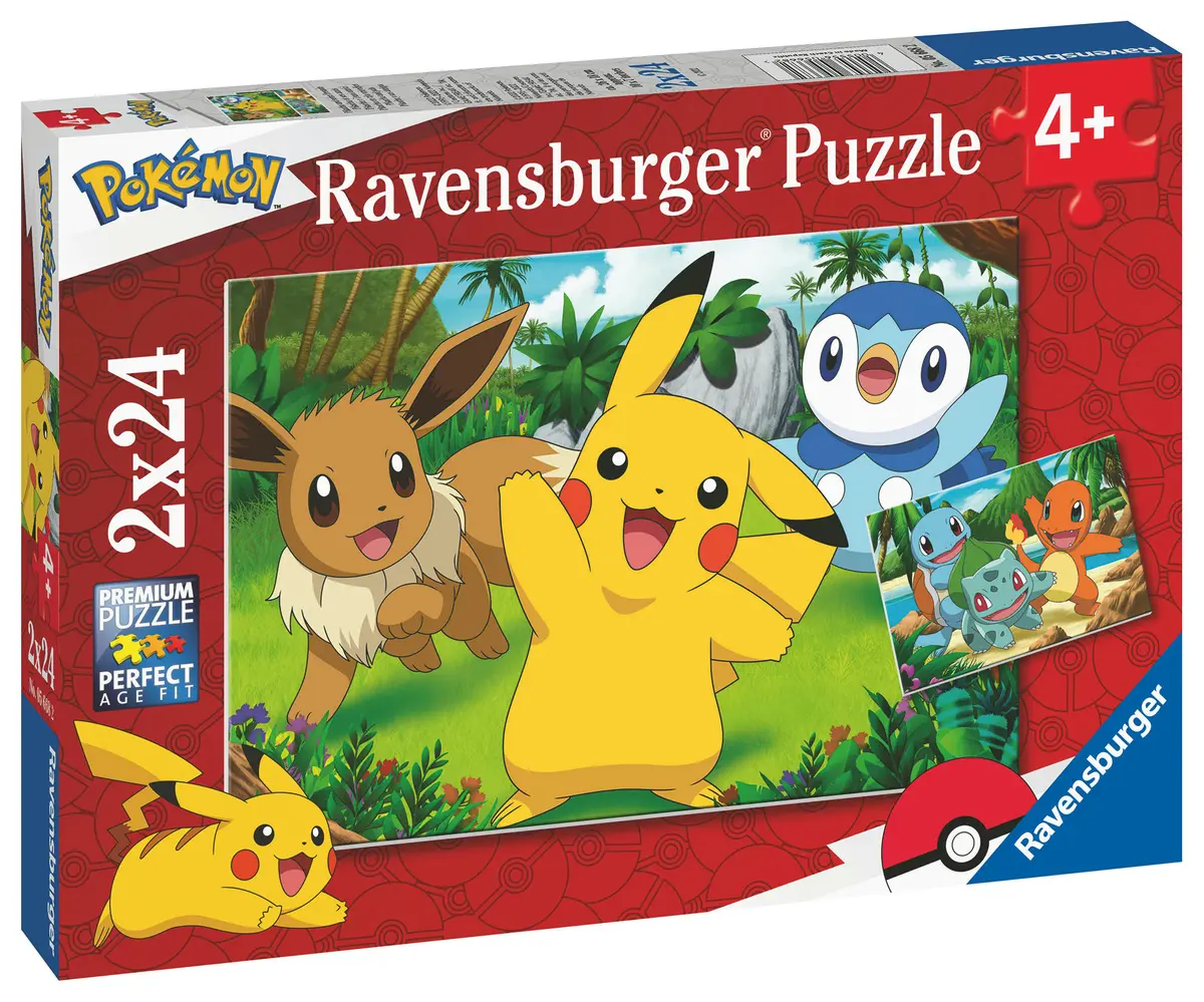 Pokemon Puzzle (2x24)