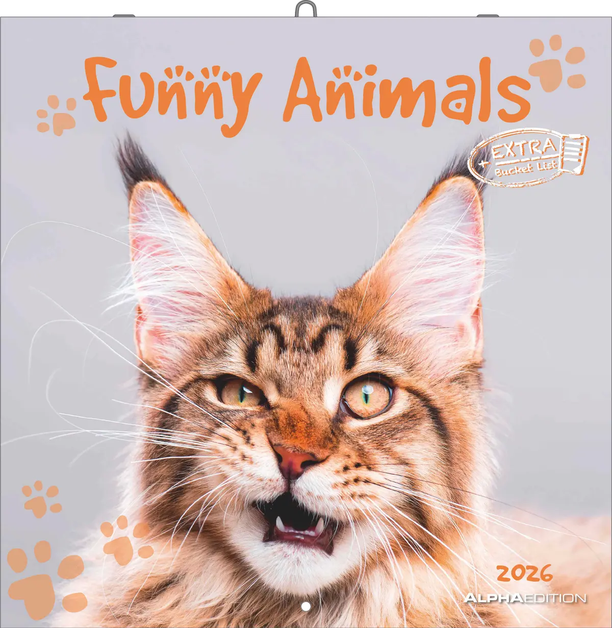 Funny Animals