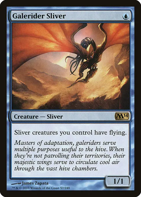 Galerider Sliver (Enkeltkort)