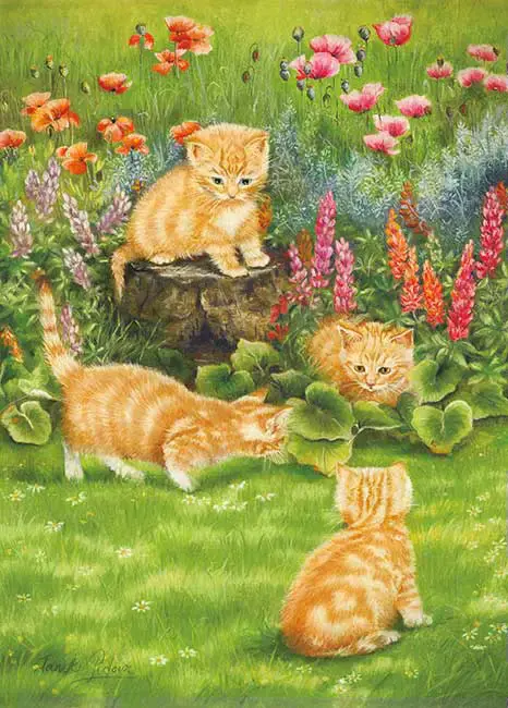 Kitten and the Sunny Garden Puzzle (500)