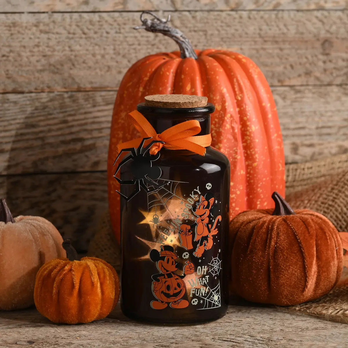 Mickey and Minnie LED Light Up Jar