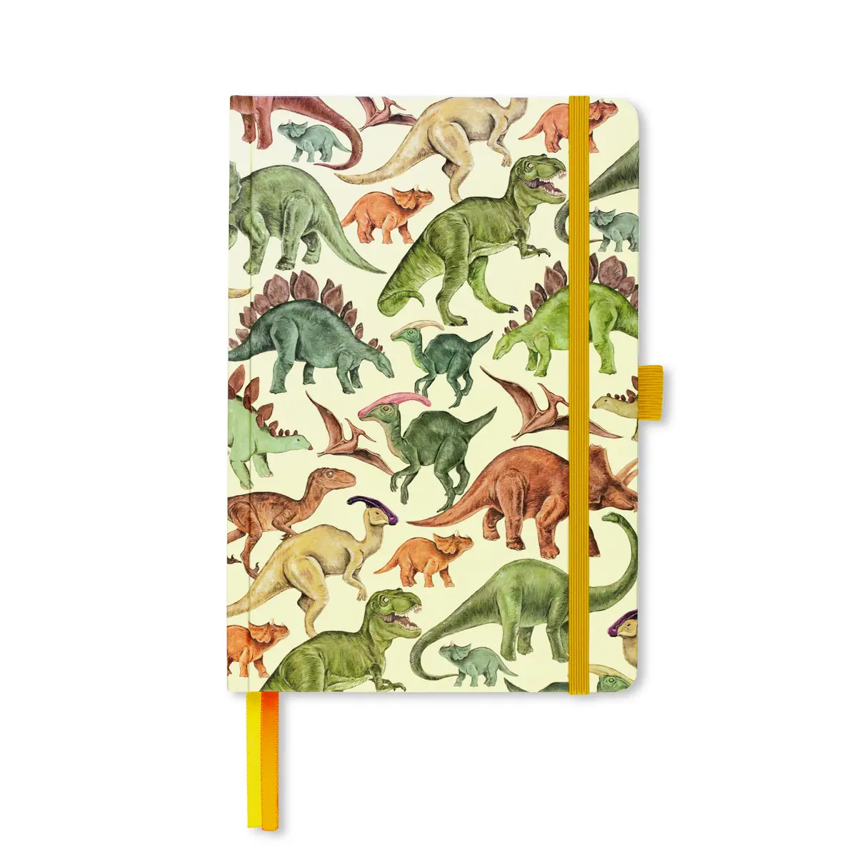 A5 Dinosaur Hardback Notebook