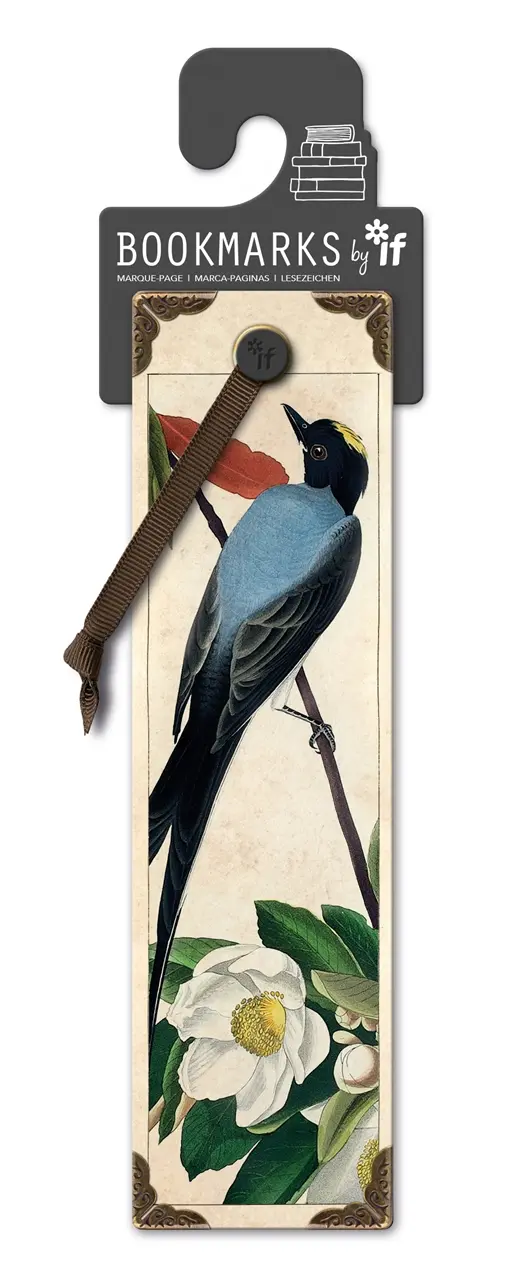 Flycatcher