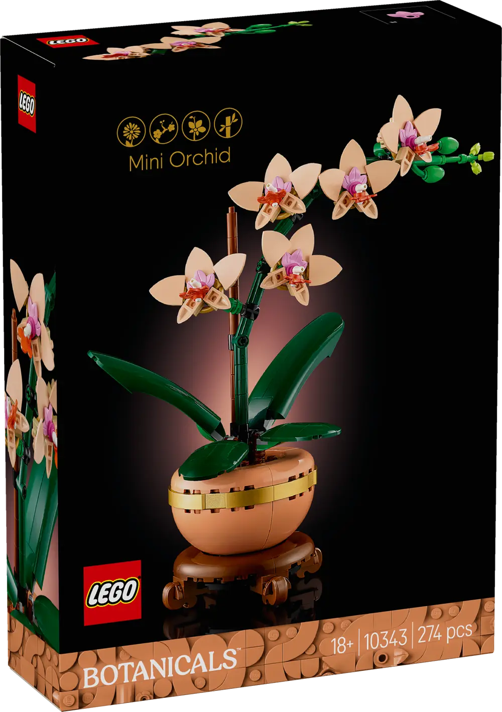 Miniatyrorkidé (10343)