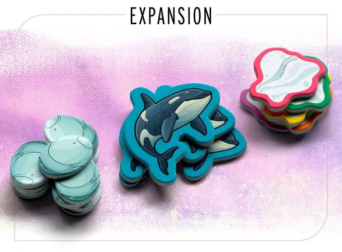 Orcas & Ice Floes Expansion