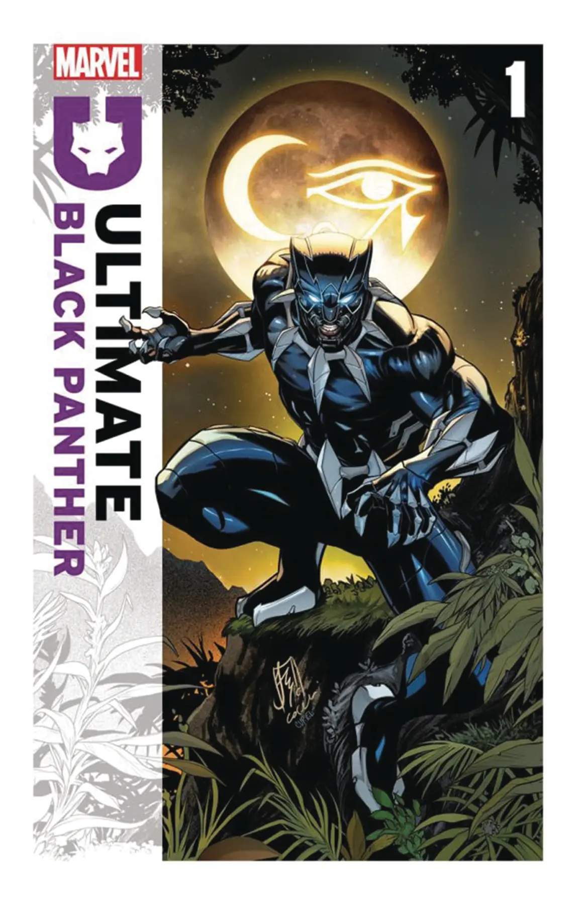 Df Ultimate Black Panther #1 Cgc Graded
