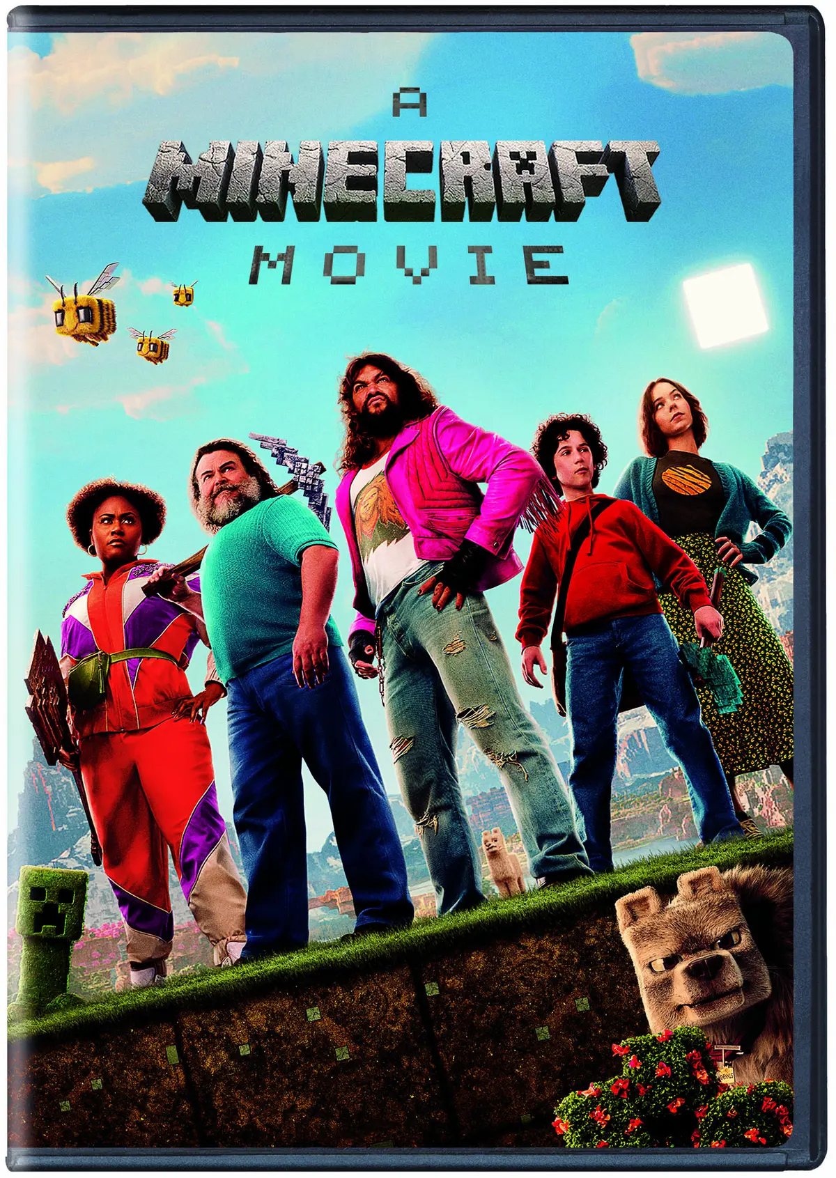 A Minecraft Movie (DVD)