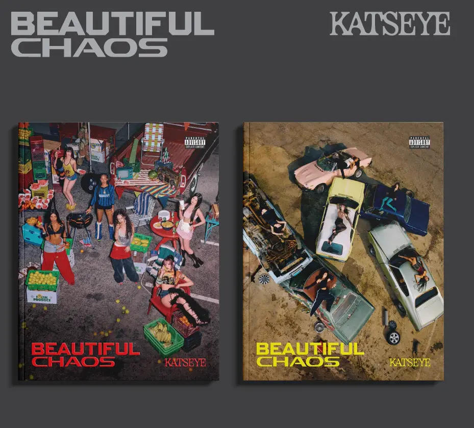 BEAUTIFUL CHAOS (Random edition)