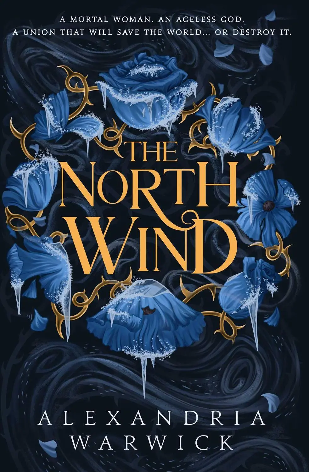 The North Wind: The TikTok sensation! An enthralling enemies-to-lovers romantasy, the first in the Four Winds series: Volume 1