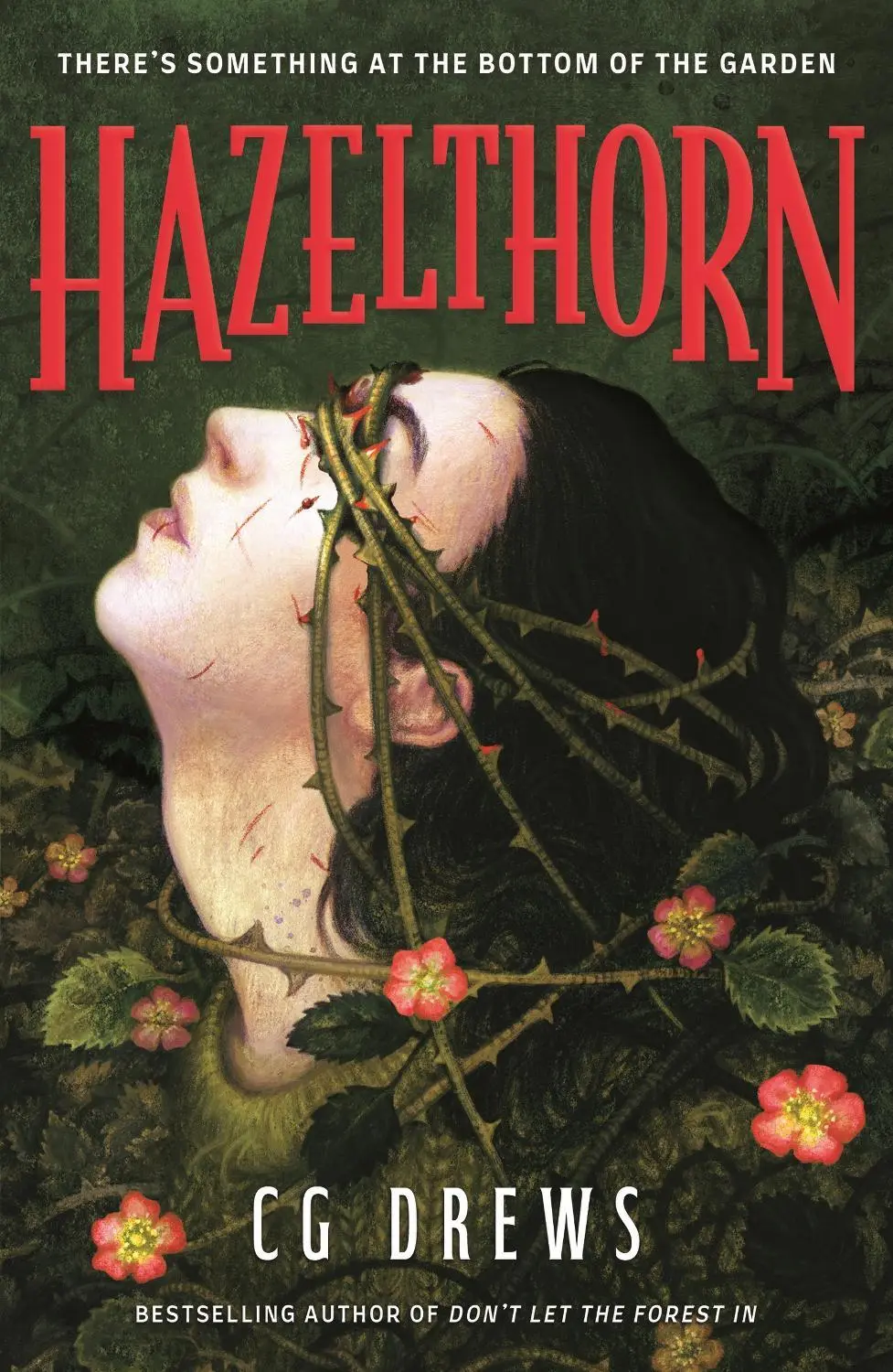 Hazelthorn: Gorgeously gothic queer YA horromance from the NYT bestselling author of Don't Let the Forest In