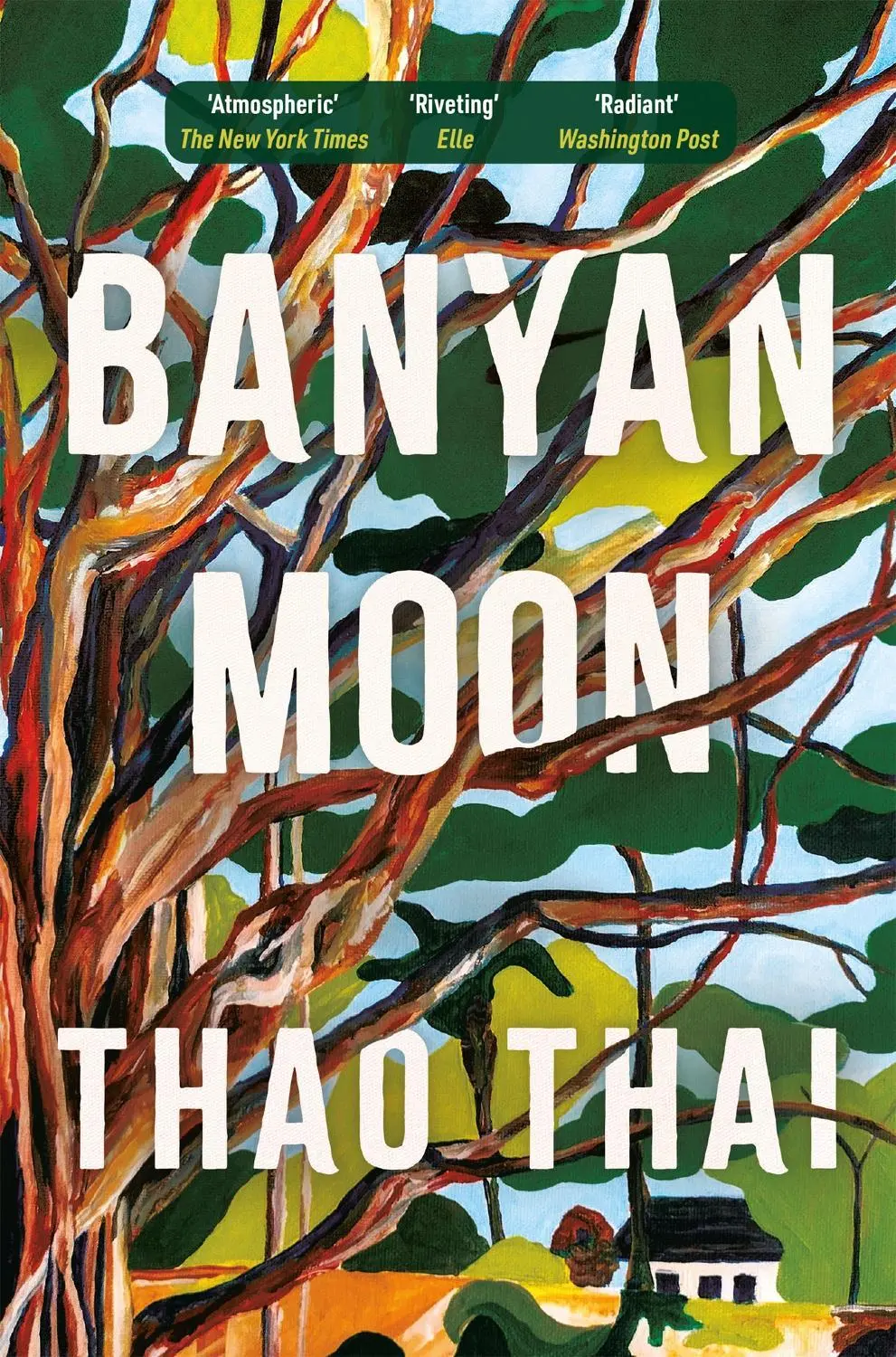Banyan Moon: A sweeping historical novel about mothers, daughters and family secrets