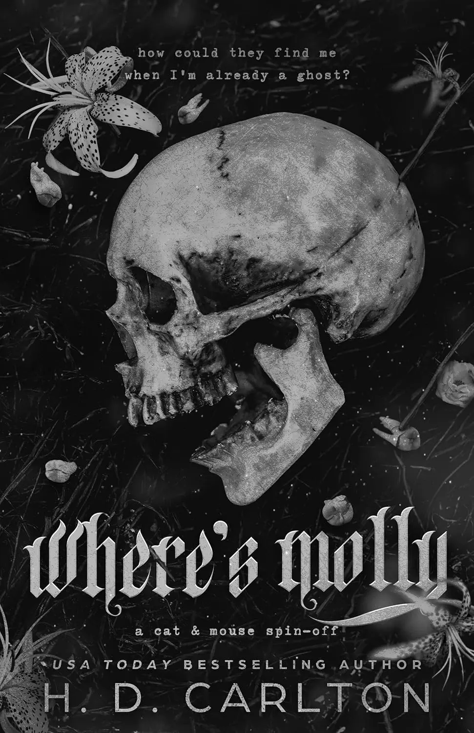 Where's Molly: A Cat & Mouse Spin-Off
