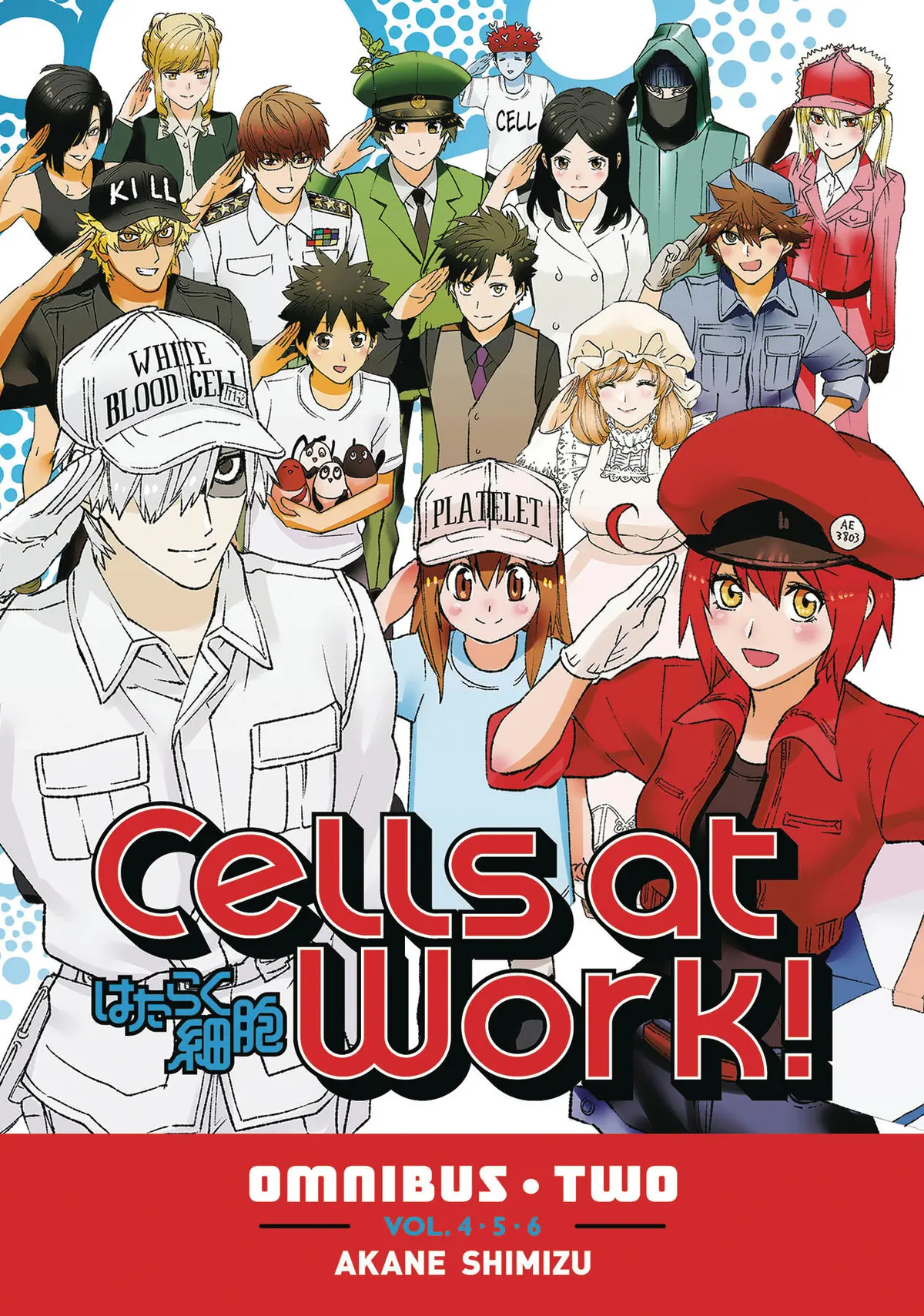 (coll 4-6)