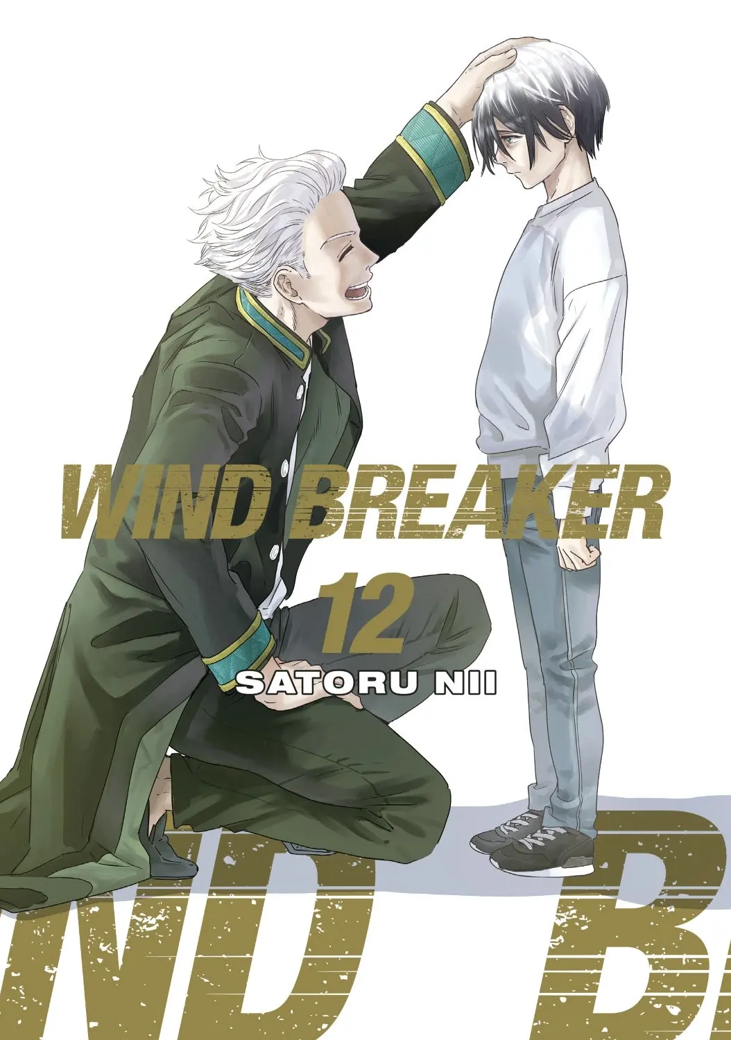 Wind Breaker Vol. 12