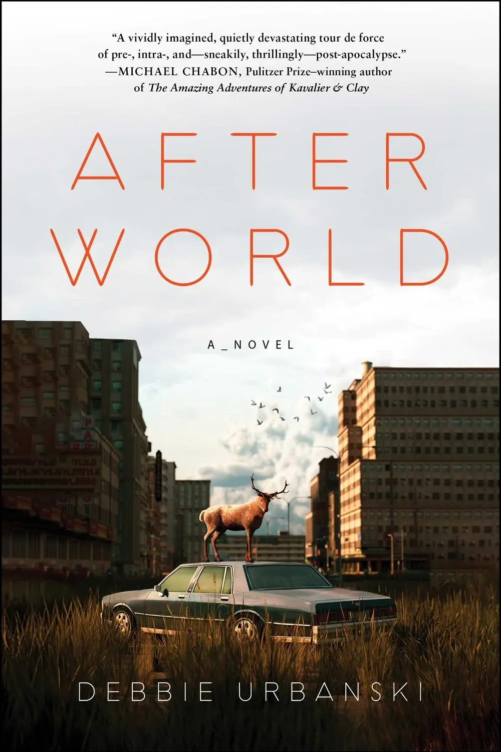 After World: A Novel