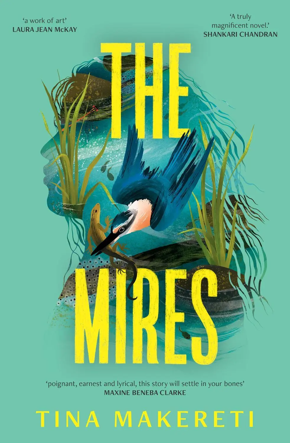 The Mires: a powerful literary page-turner set in New Zealand