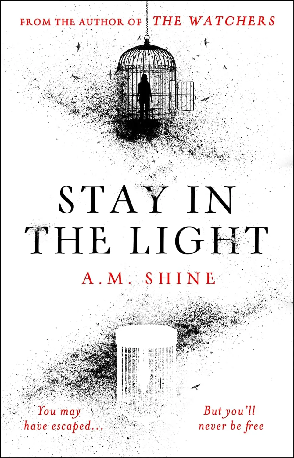 Stay in the Light: the chilling sequel to hit horror novel THE WATCHERS